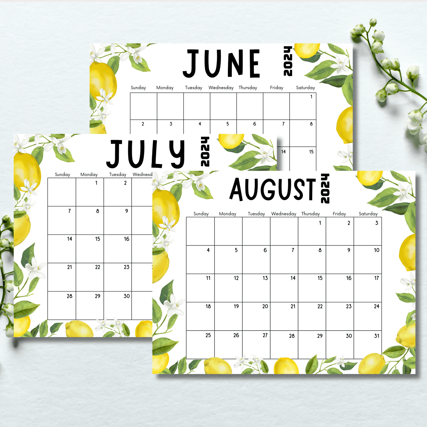 free june, july and august monthly calendar templates for printing on light blue background
