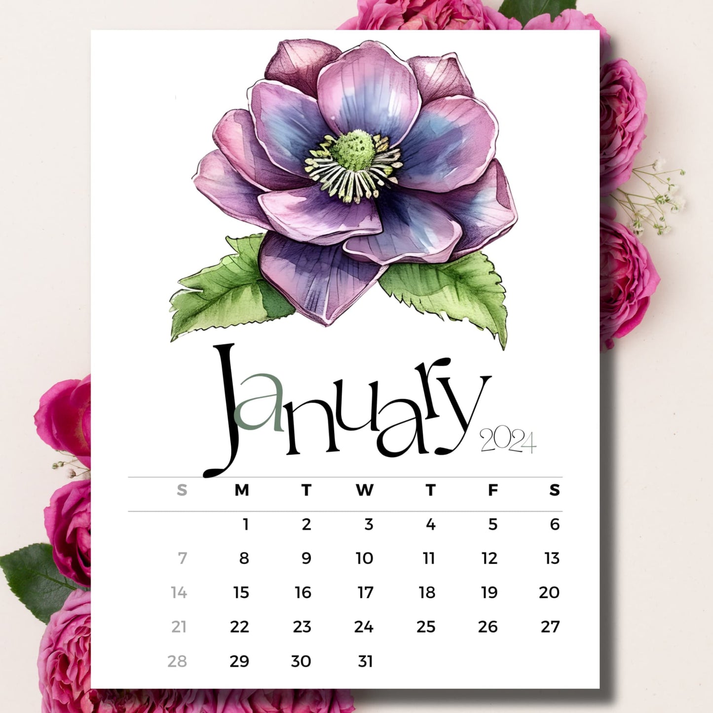 January 2024 Hellebores floral calendar on beige background with pink peonies.