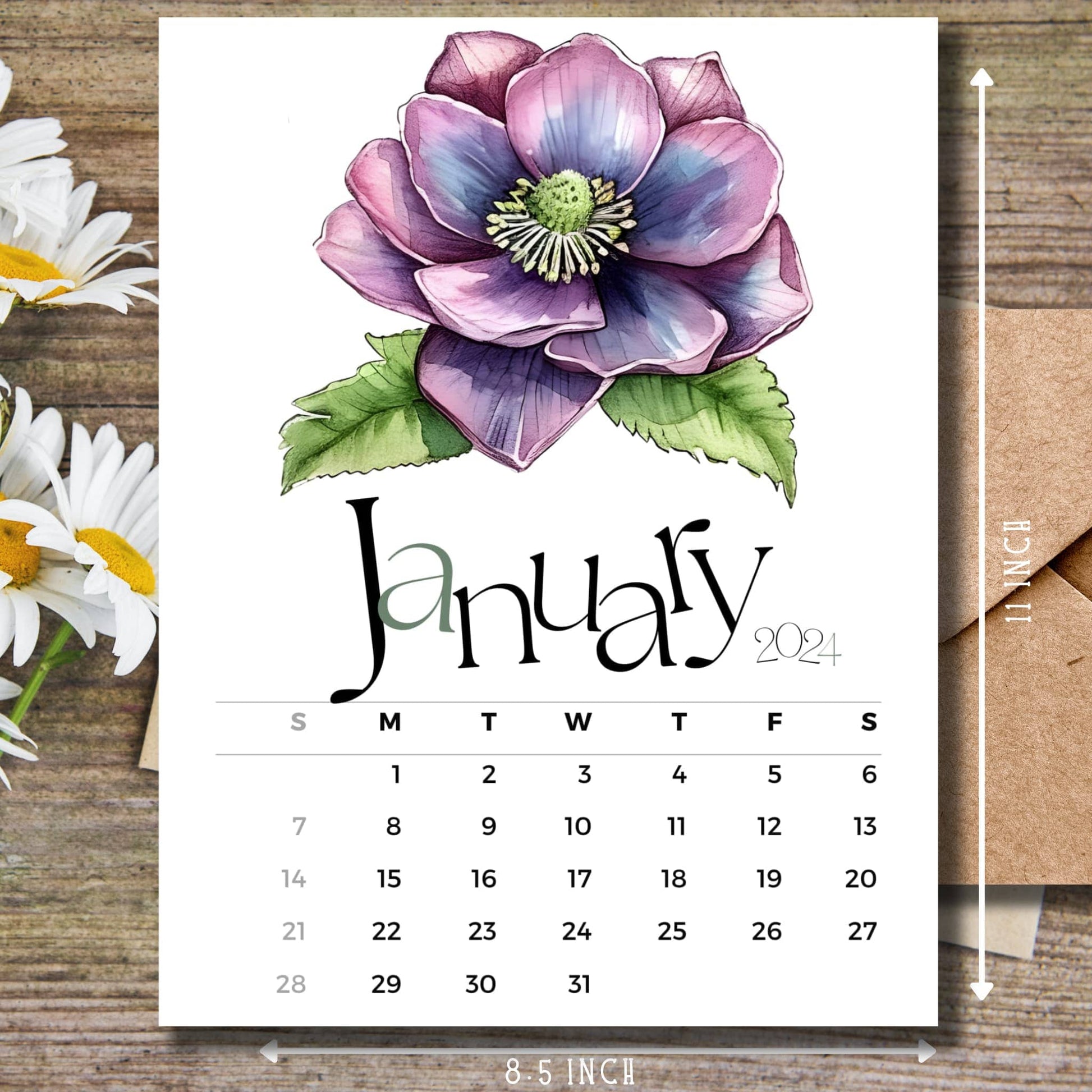January 2024 Hellebores floral calendar on wooden desk with white flowers and size guide.