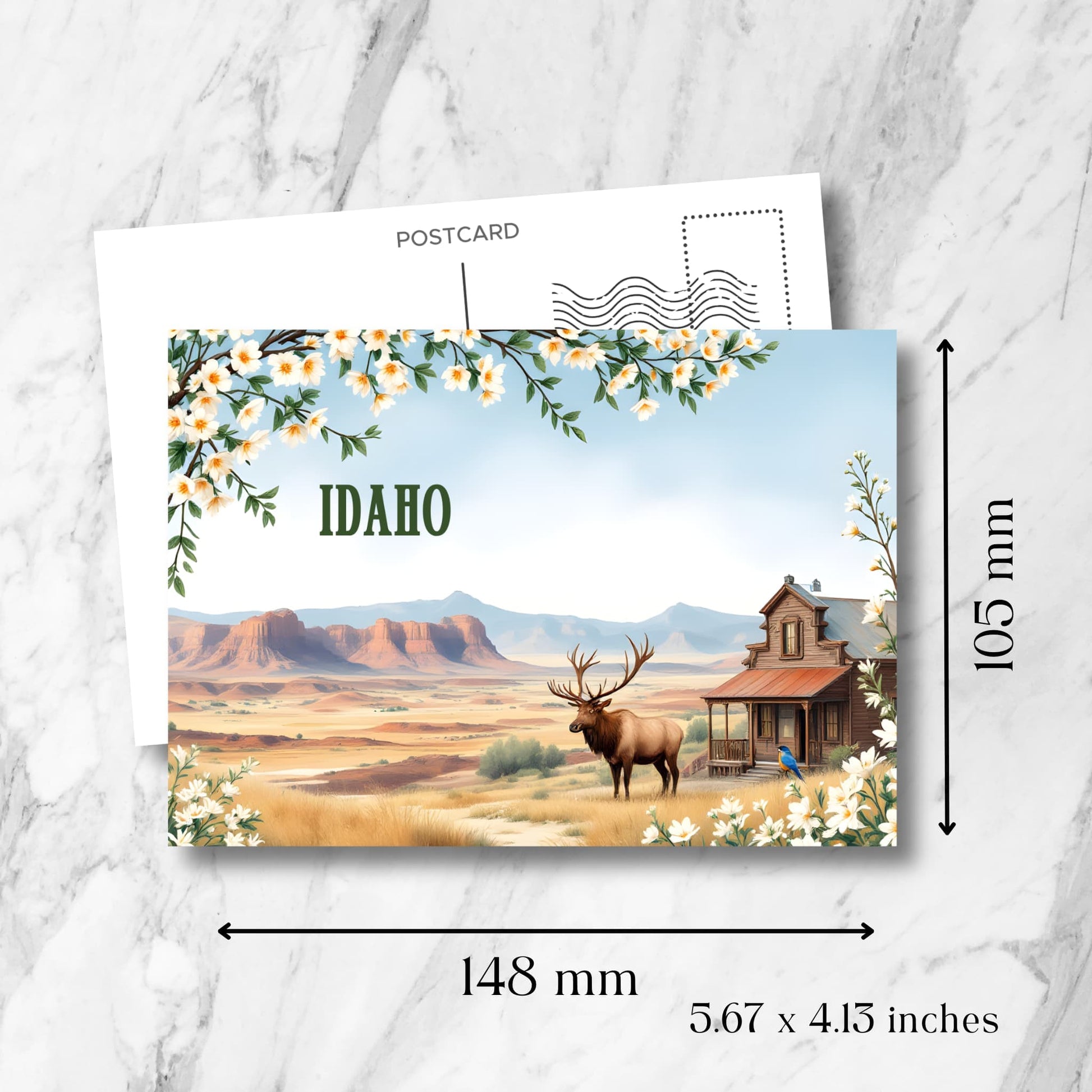 Idaho desert landscape postcard size guide showing 148mm x 105mm dimensions, featuring red rock formations, elk in grassland, and vintage cabin with measurement overlay