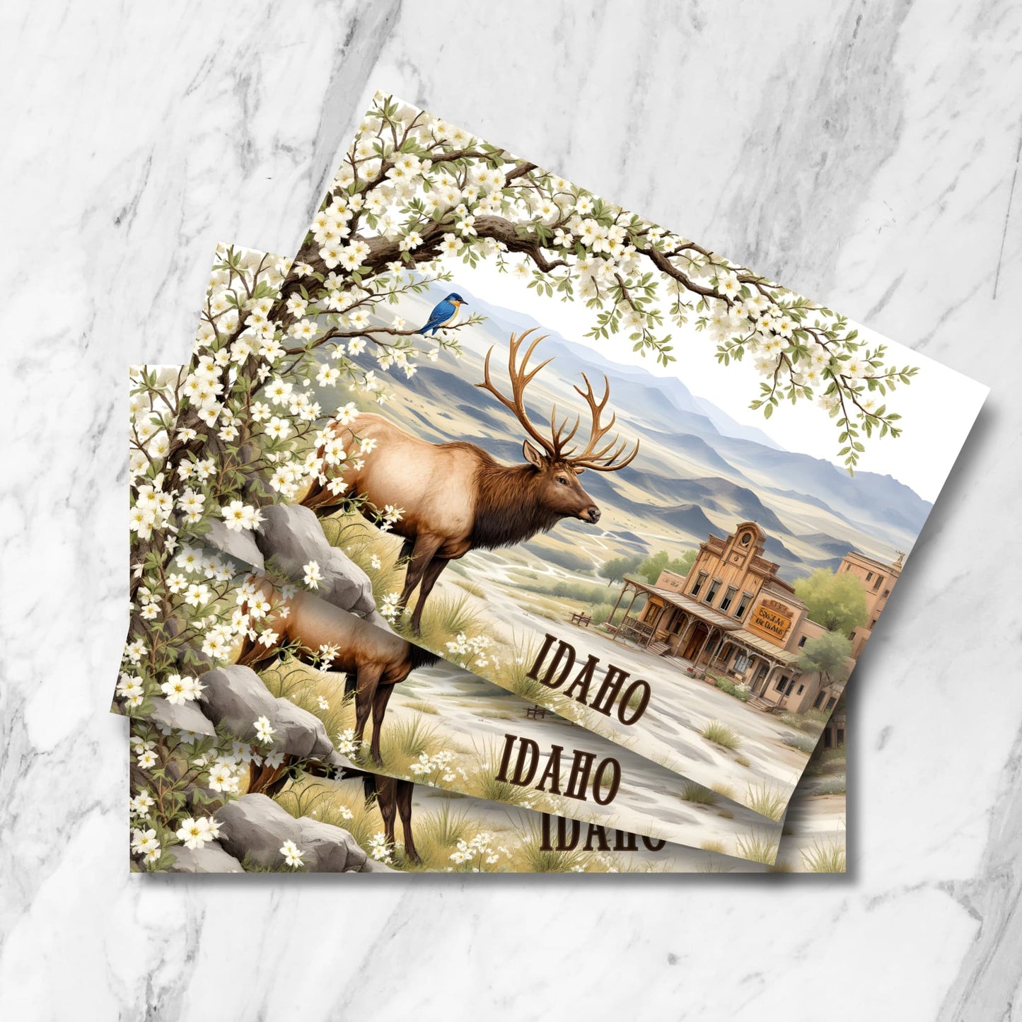 Vintage-style Idaho postcards featuring majestic elk, mountain landscape, white dogwood blossoms, and Old West saloon building against rolling hills backdro