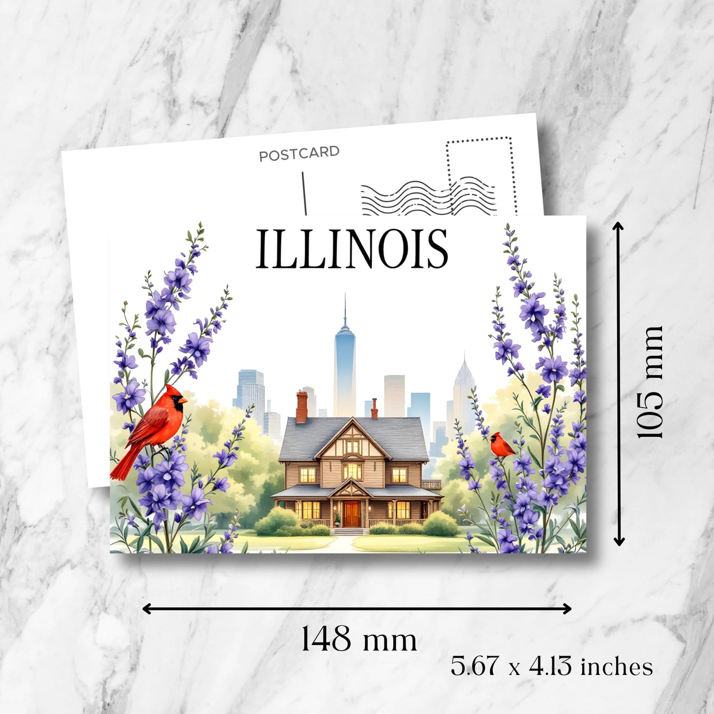 Illinois state postcard size guide showing 148x105mm dimensions, featuring Victorian architecture, state birds, purple delphiniums, and distant Chicago skyscrapers