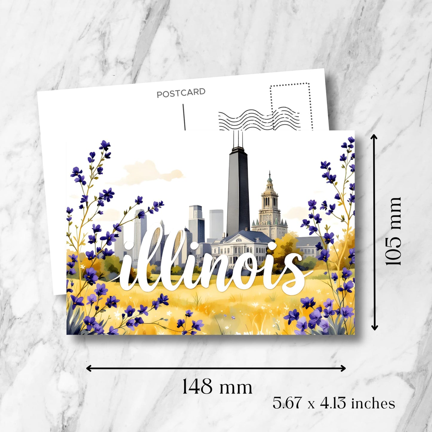 Illinois souvenir postcard measurement display showing 148x105mm dimensions, featuring Chicago's iconic skyline framed by purple prairie blooms