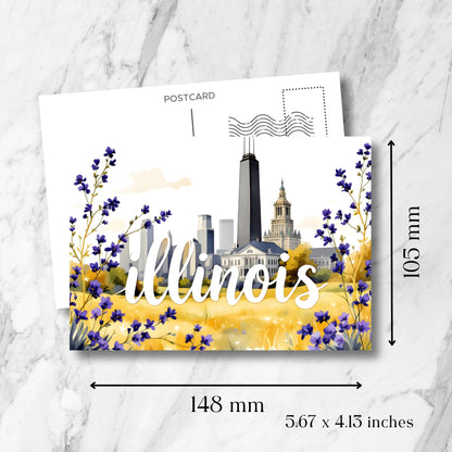 Illinois souvenir postcard measurement display showing 148x105mm dimensions, featuring Chicago's iconic skyline framed by purple prairie blooms