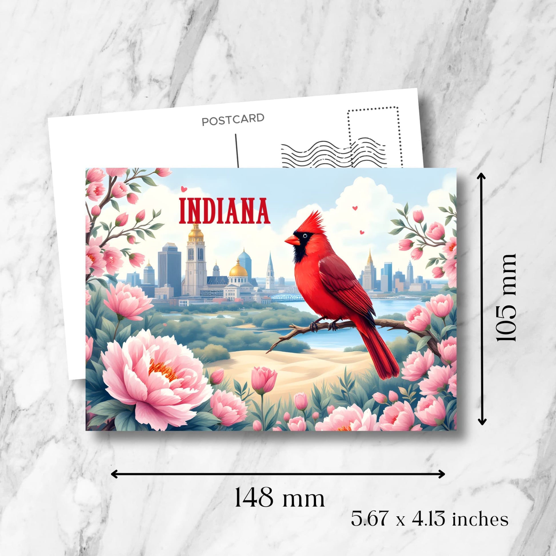 Indiana postcard showing dimensions (148x105mm/5.67x4.13 inches) featuring state bird cardinal against Indianapolis cityscape, framed by state flower peonies, with standard postcard template.