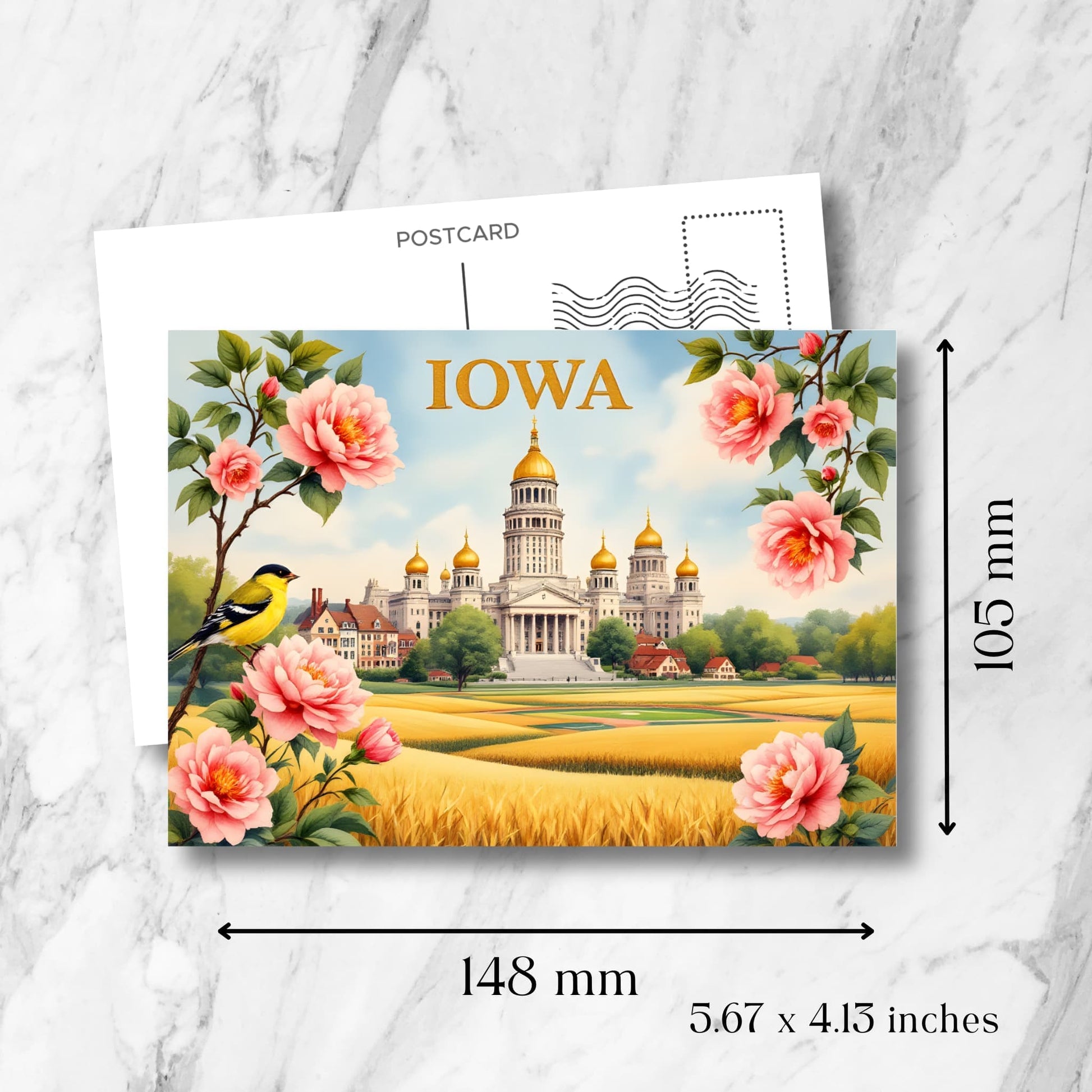 Iowa scenic postcard with size guide (148x105mm/5.67x4.13 inches) displaying golf course fairways, riverside bridge, and city skyline. Decorated with pink roses and standard postcard template.