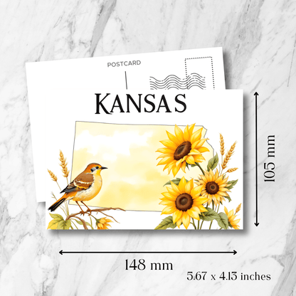 Kansas souvenir postcard displaying dimensions of 148x105mm (5.67x4.13 inches), showcasing meadowlark and sunflower artwork on marble background