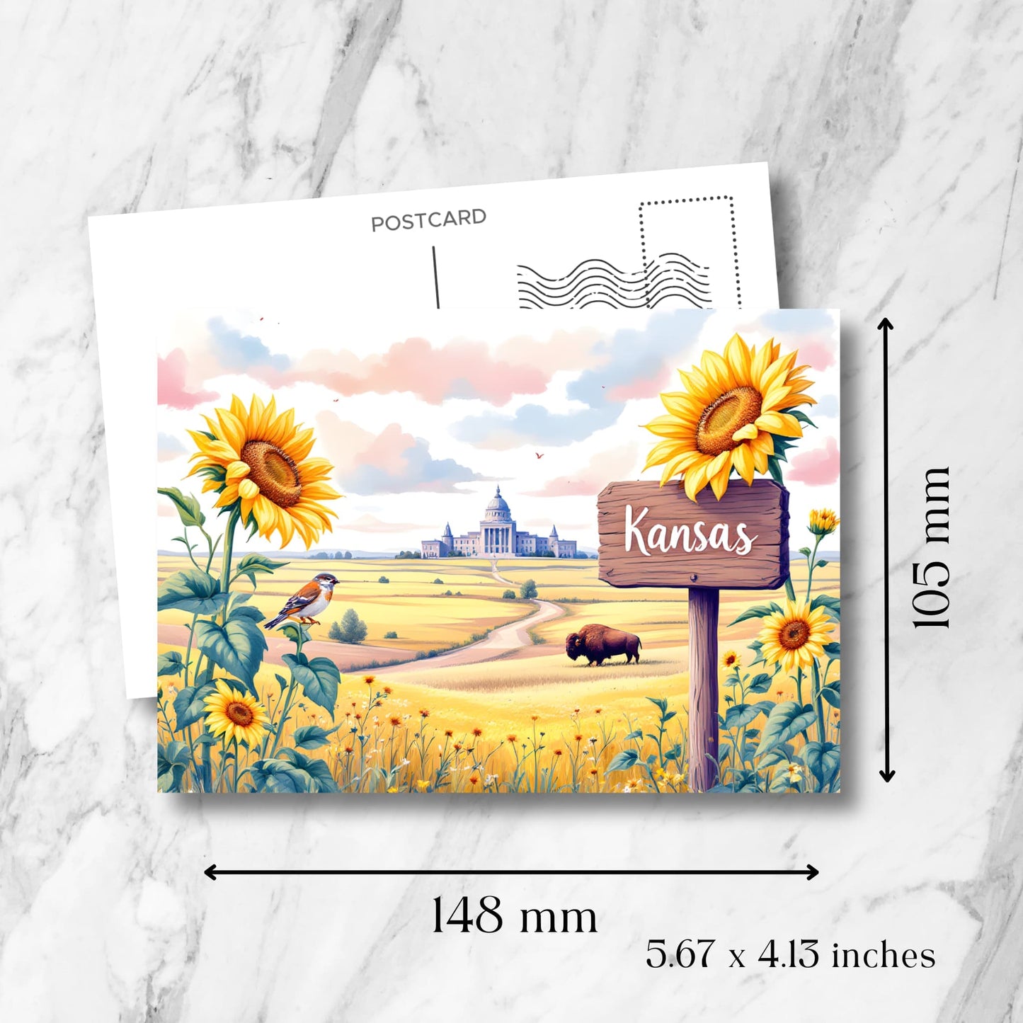 Kansas landscape postcard showing dimensions (148x105mm/5.67x4.13 inches). Features sunflower field, winding prairie path, state capitol building, and state symbols with standard postcard template.