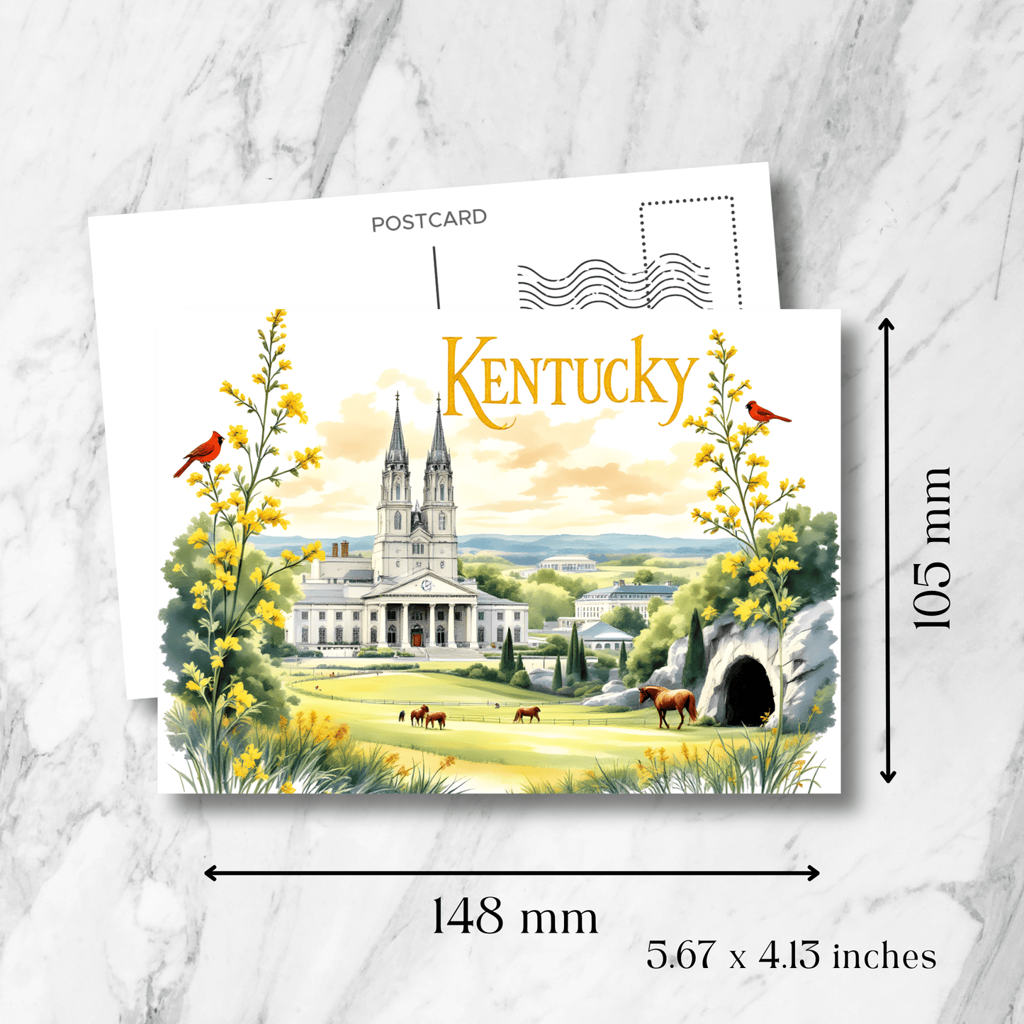 Kentucky souvenir postcard with dimensions 148x105mm (5.67x4.13 inches), showing cathedral, rolling hills, horses, and state bird with vintage postmark design