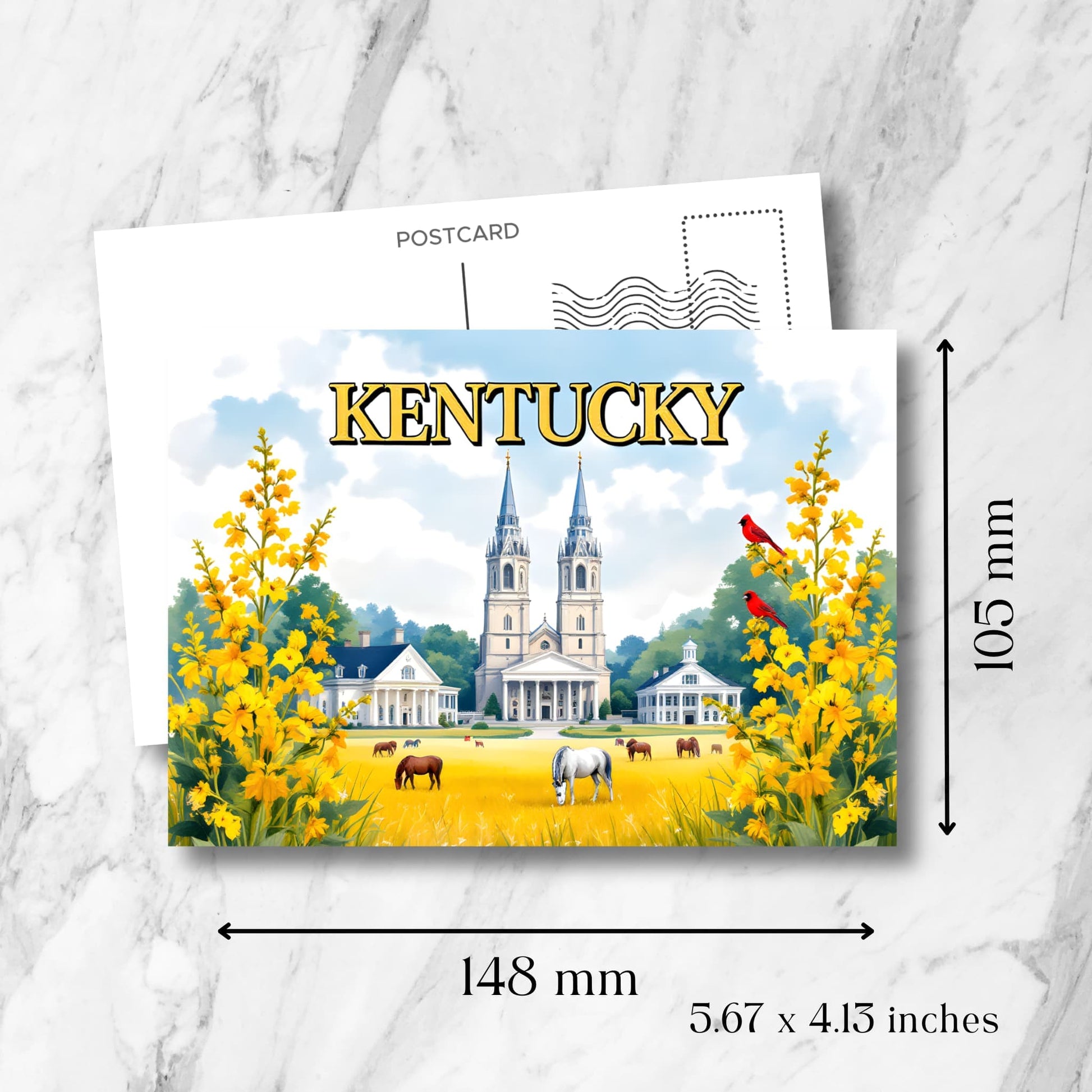 Kentucky souvenir postcard measuring 148x105mm (5.67x4.13 inches), displaying cathedral, antebellum mansions, horses, and state symbols with vintage postmark