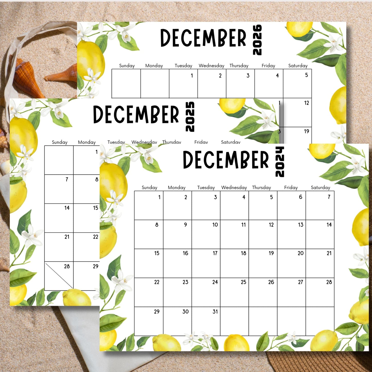 Three overlapping December calendars with citrus motif on sandy backdrop. Decorative elements include partial seashell and orange cone, showcasing 2024-2026 holiday month layouts.