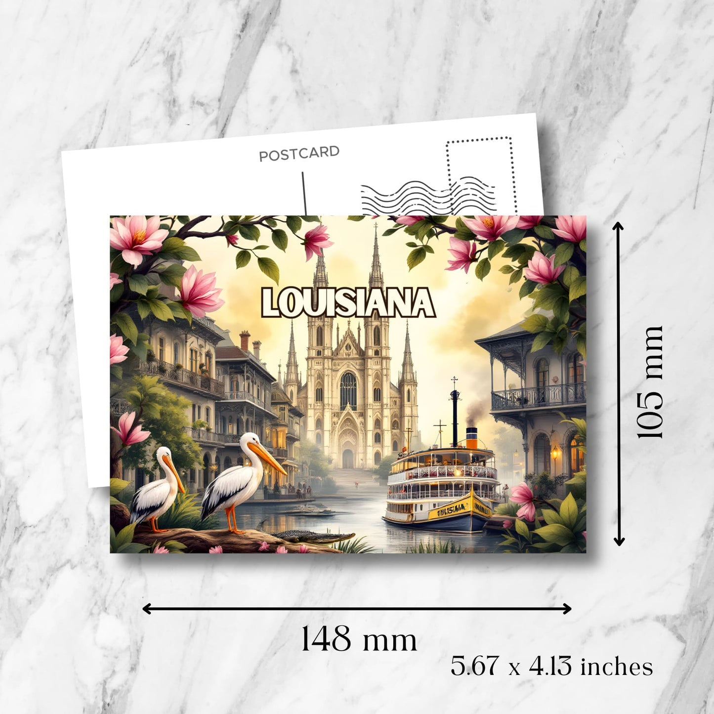 Louisiana postcard showing dimensions of 148x105mm (5.67x4.13 inches). Features New Orleans French Quarter with St. Louis Cathedral, steamboat and pelicans.