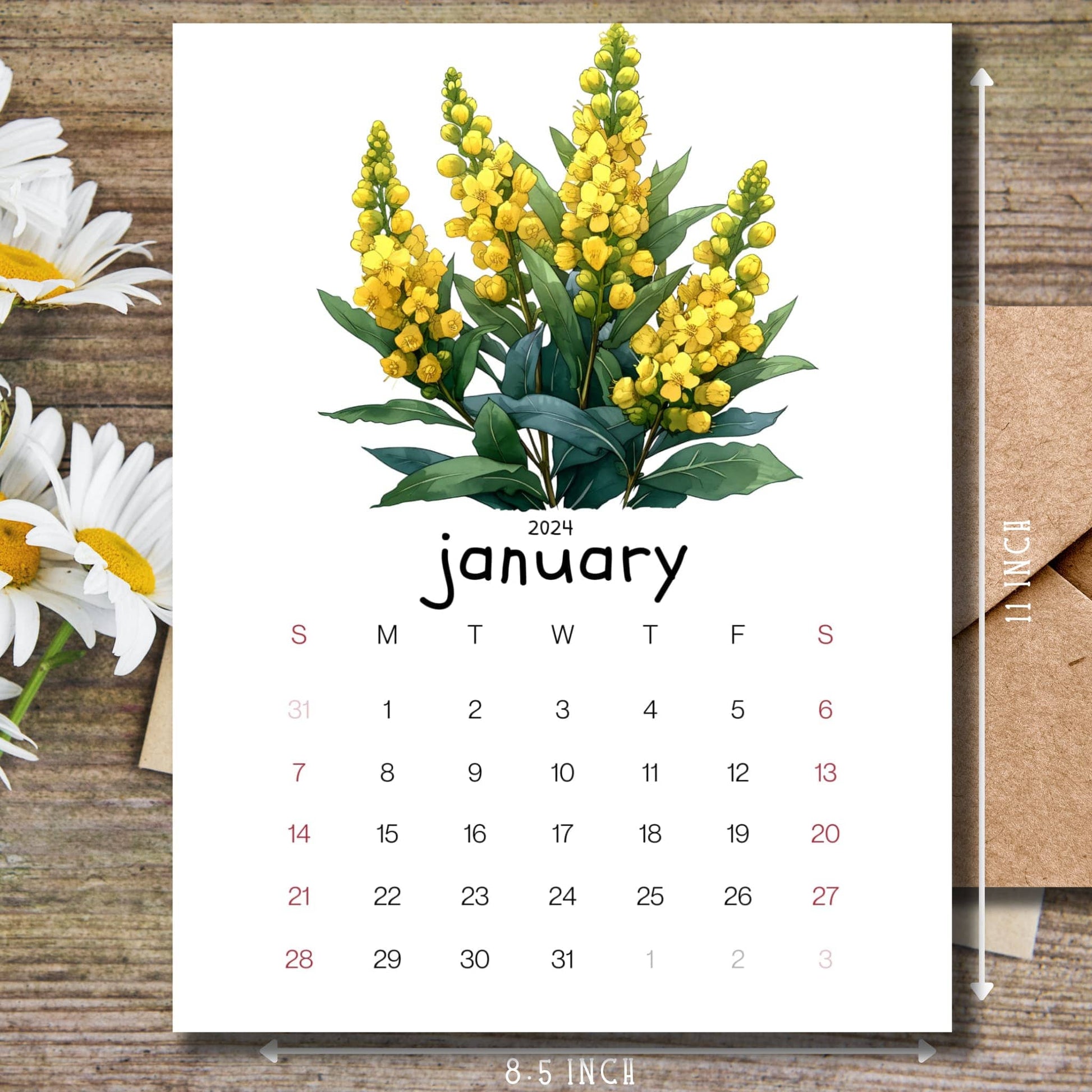 Mahonia Magic January 2024 calendar on a brown wooden desk with white flowers and a size guide on the side.