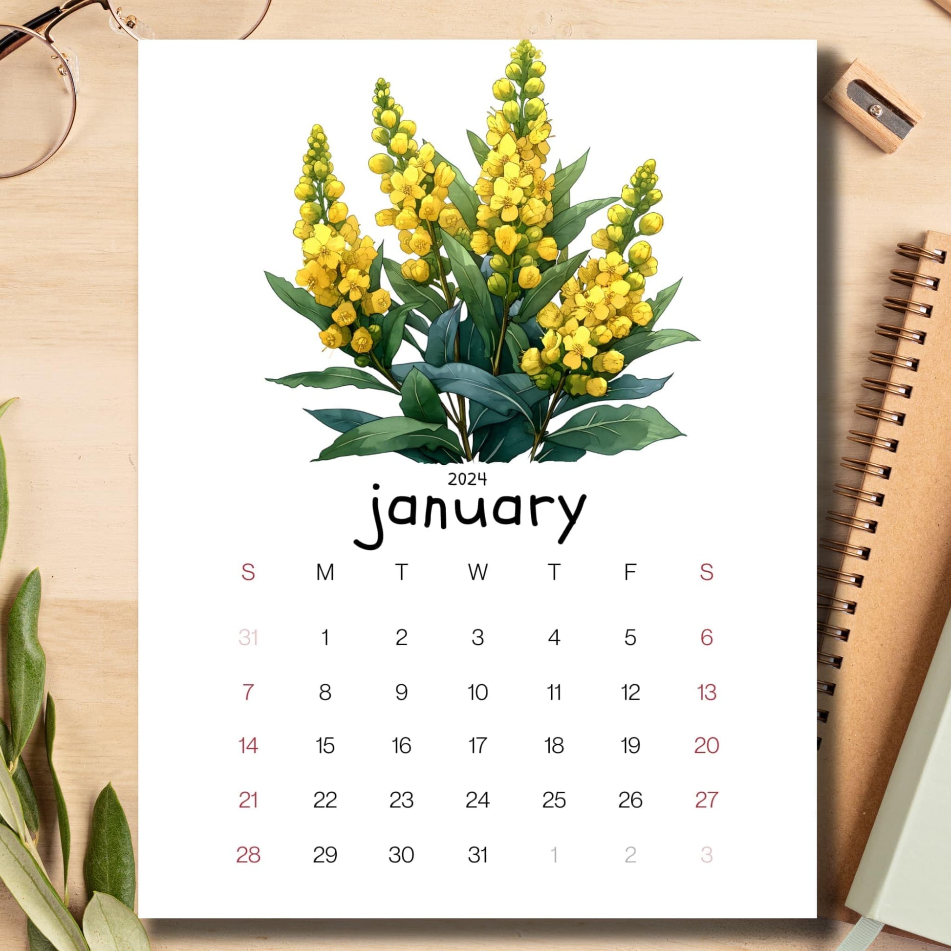 Mahonia Magic January 2024 calendar displayed on a light brown wooden desk with school supplies like a notebook, pencil, and sharpener.