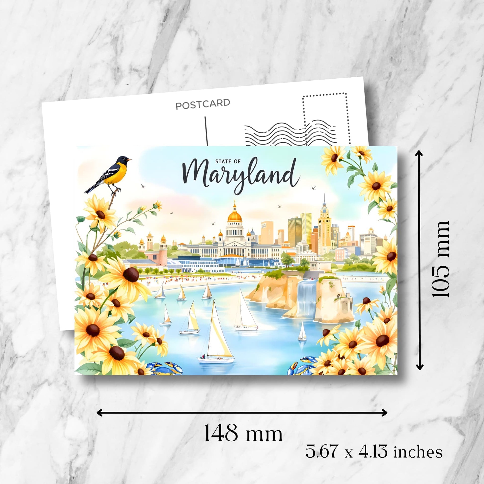 Maryland Chesapeake Bay postcard showing dimensions of 148x105mm. Features Baltimore skyline, oriole bird and black-eyed Susan flower border.