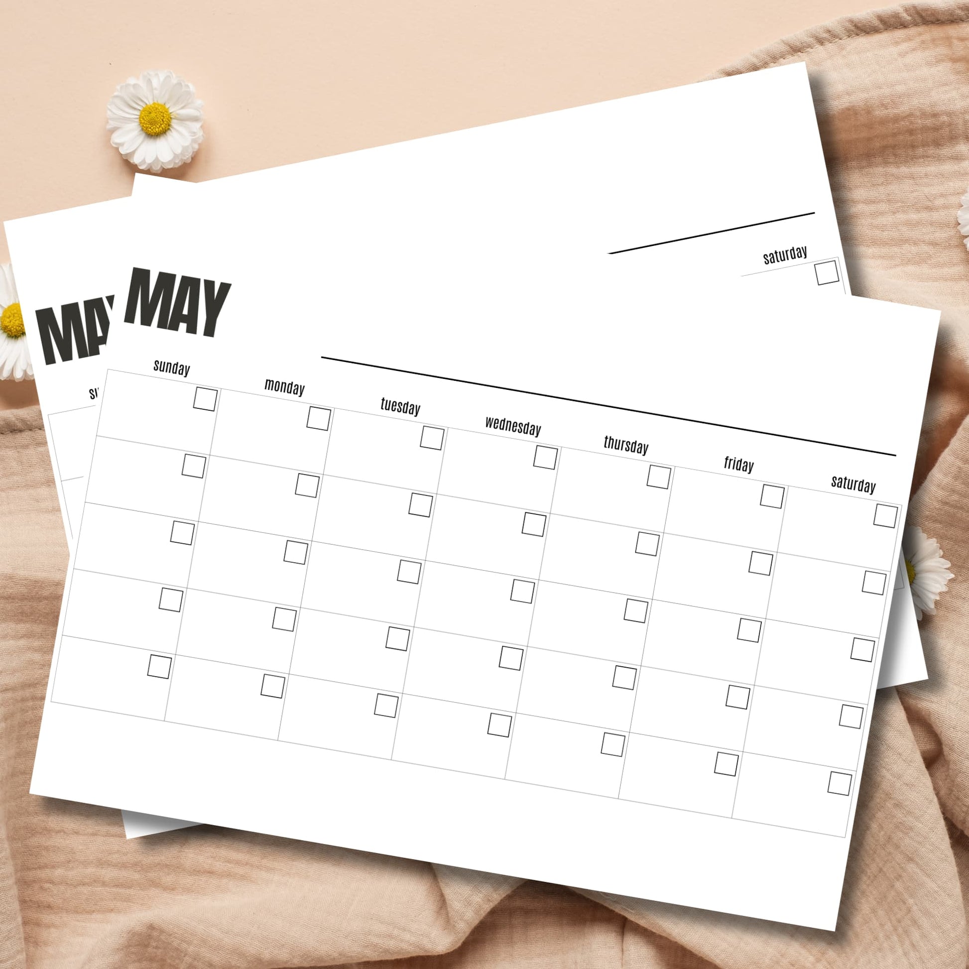 Free May printable blank monthly calendar template 8.5x11 undated PDF planner with white daisies