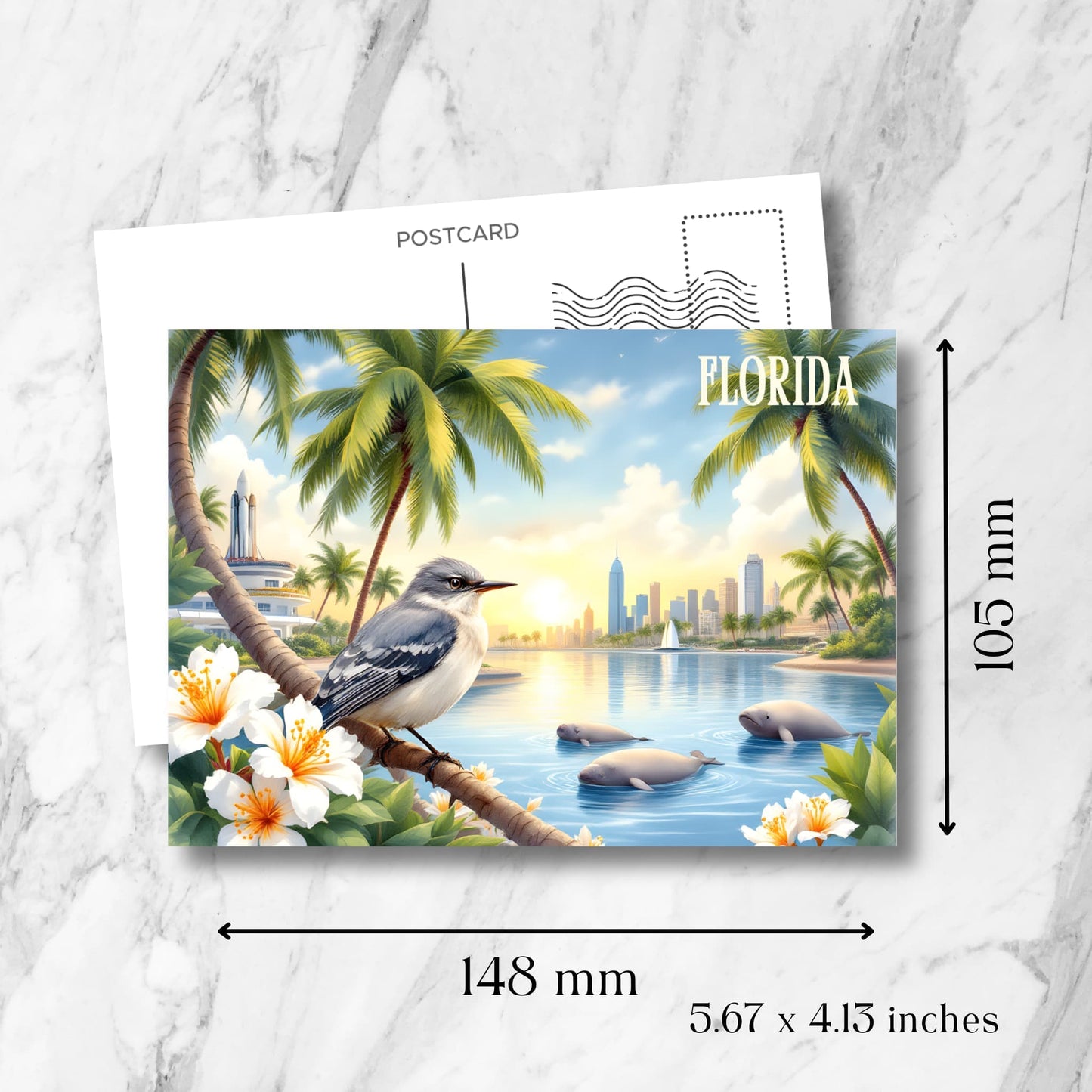 Florida Miami postcard size guide (148x105mm) showing coastal scene with manatee pod, mockingbird on palm branch, tropical flowers, and downtown skyline against golden sunset