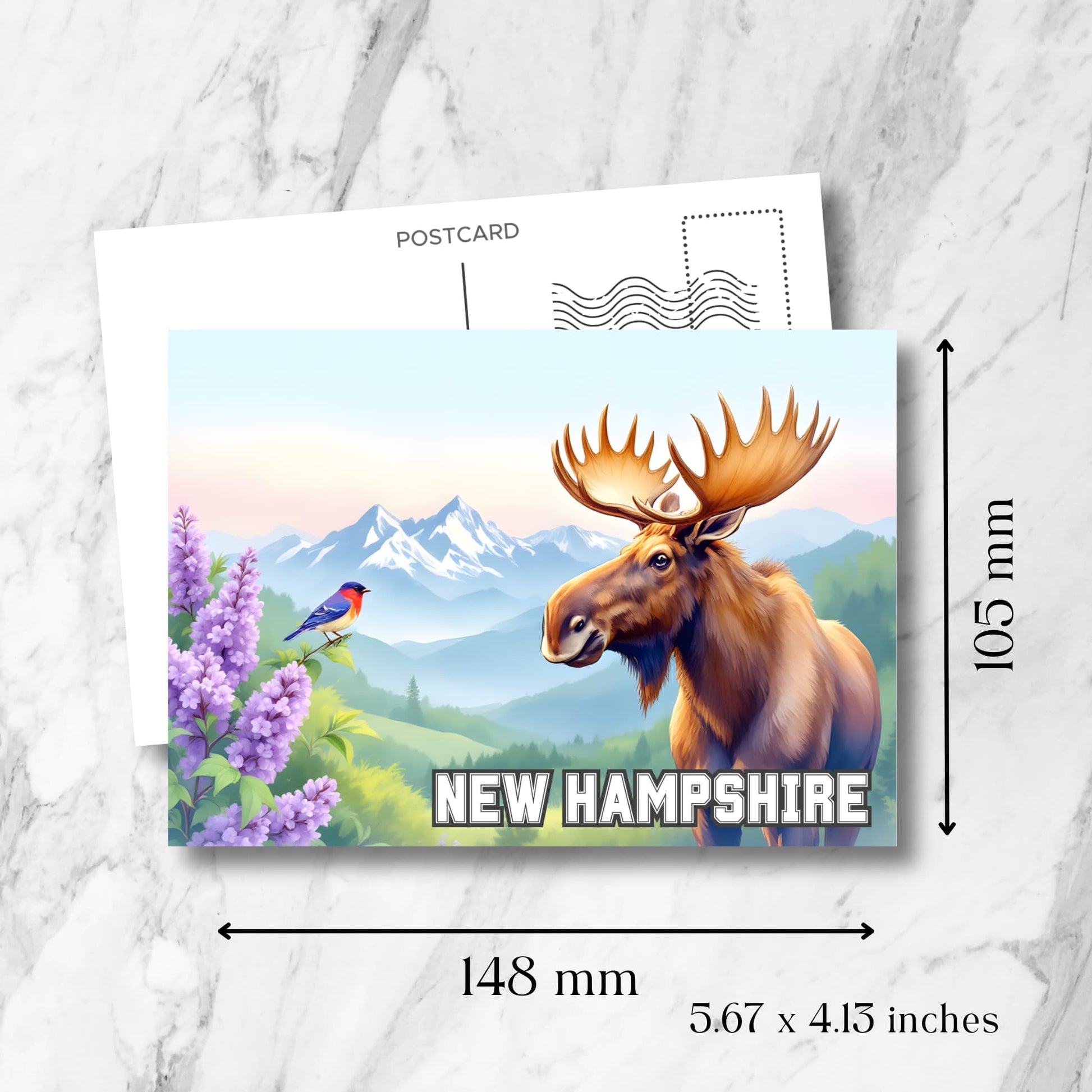 Postcard with scenic New Hampshire moose and bird artwork, surrounded by lilacs and mountain range, with printed size dimensions.