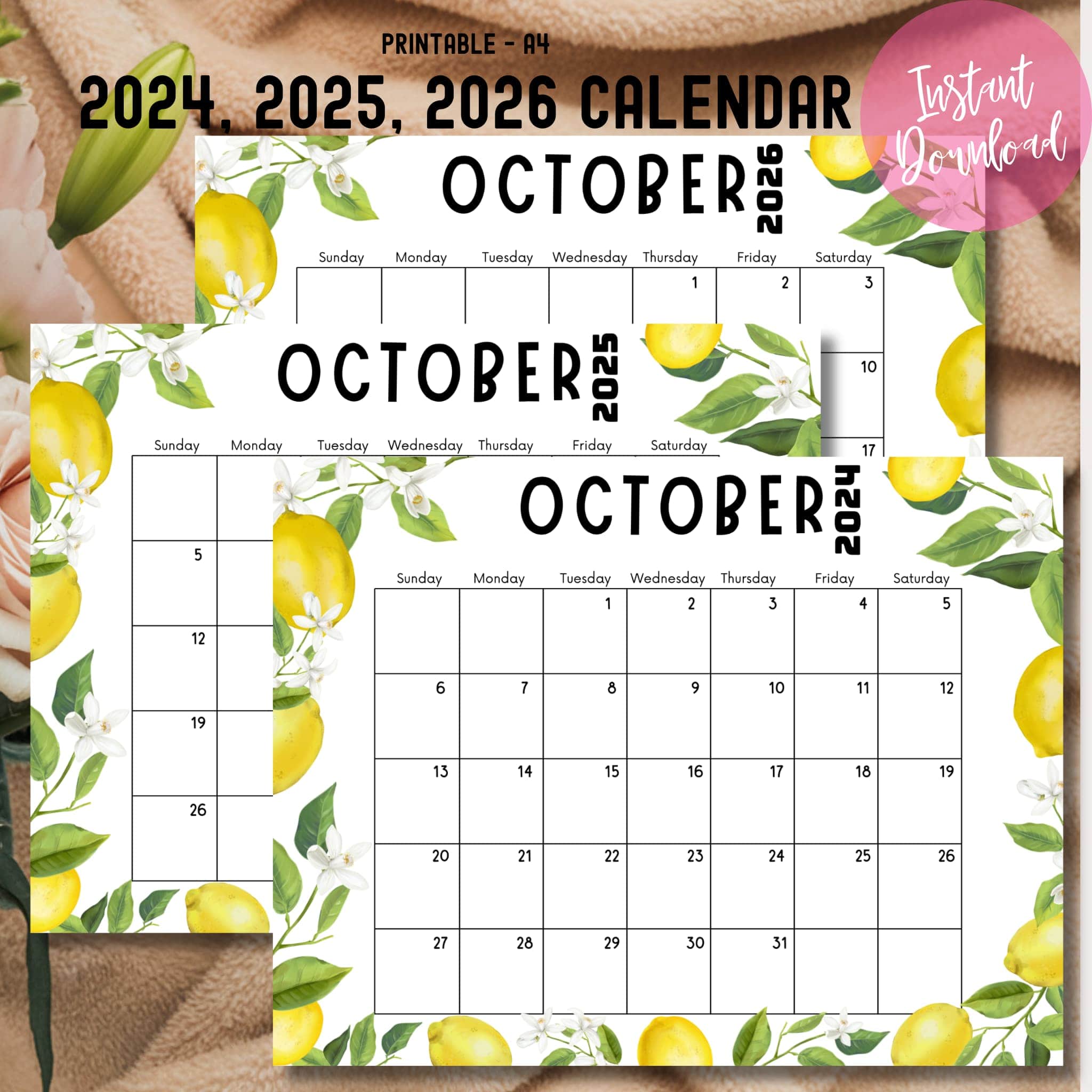 2024 Calendar Display