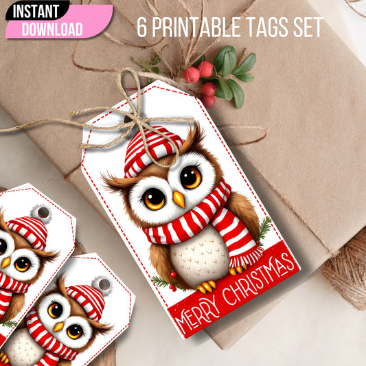 Closeup of Christmas owl gift tag with red and white striped hat and scarf, tied with jute twine, showing instant download banner and red stitched border design