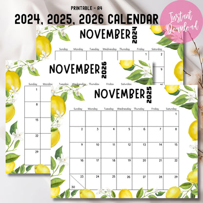 Product showcase of 2024, 2025, 2026 November calendars. Lemon-themed design with A4 printable format, instant download label, and decorative dried flowers on white fabric.