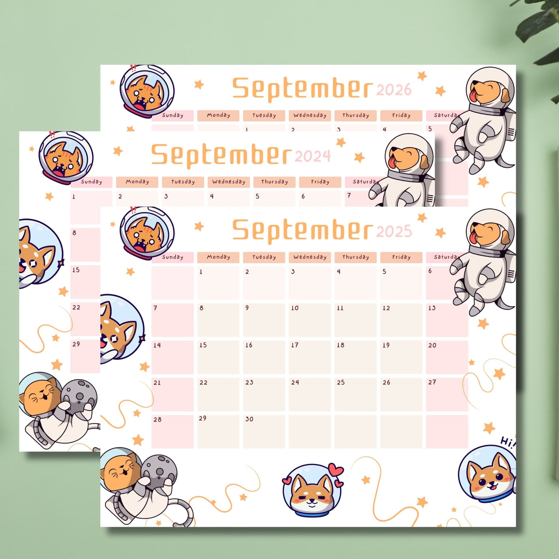 Three September calendars for 2024, 2025, and 2026. Cheerful design with teal, orange, and yellow floral motifs. Displayed on light green background.