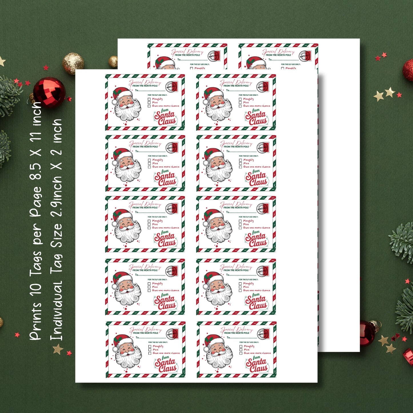 Complete 8.5 x 11 inch printable sheet showing 10 Santa Special Delivery tags layout on white paper, with size specifications and green festive border decoration