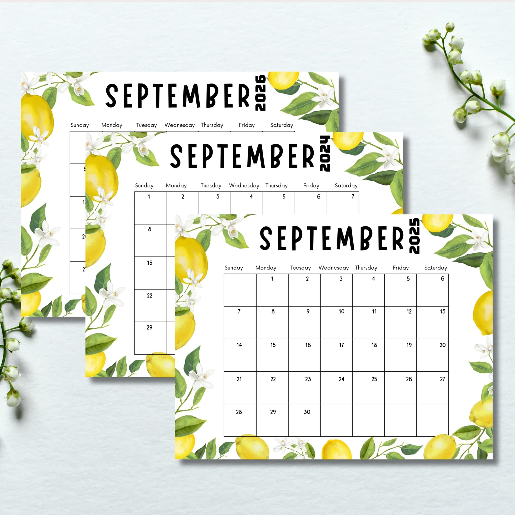 Three September calendars for years 2024-2026, decorated with lemon and blossom illustrations. White background with floral accents.