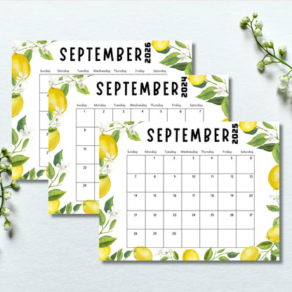 Three September calendars for years 2024-2026, decorated with lemon and blossom illustrations. White background with floral accents.