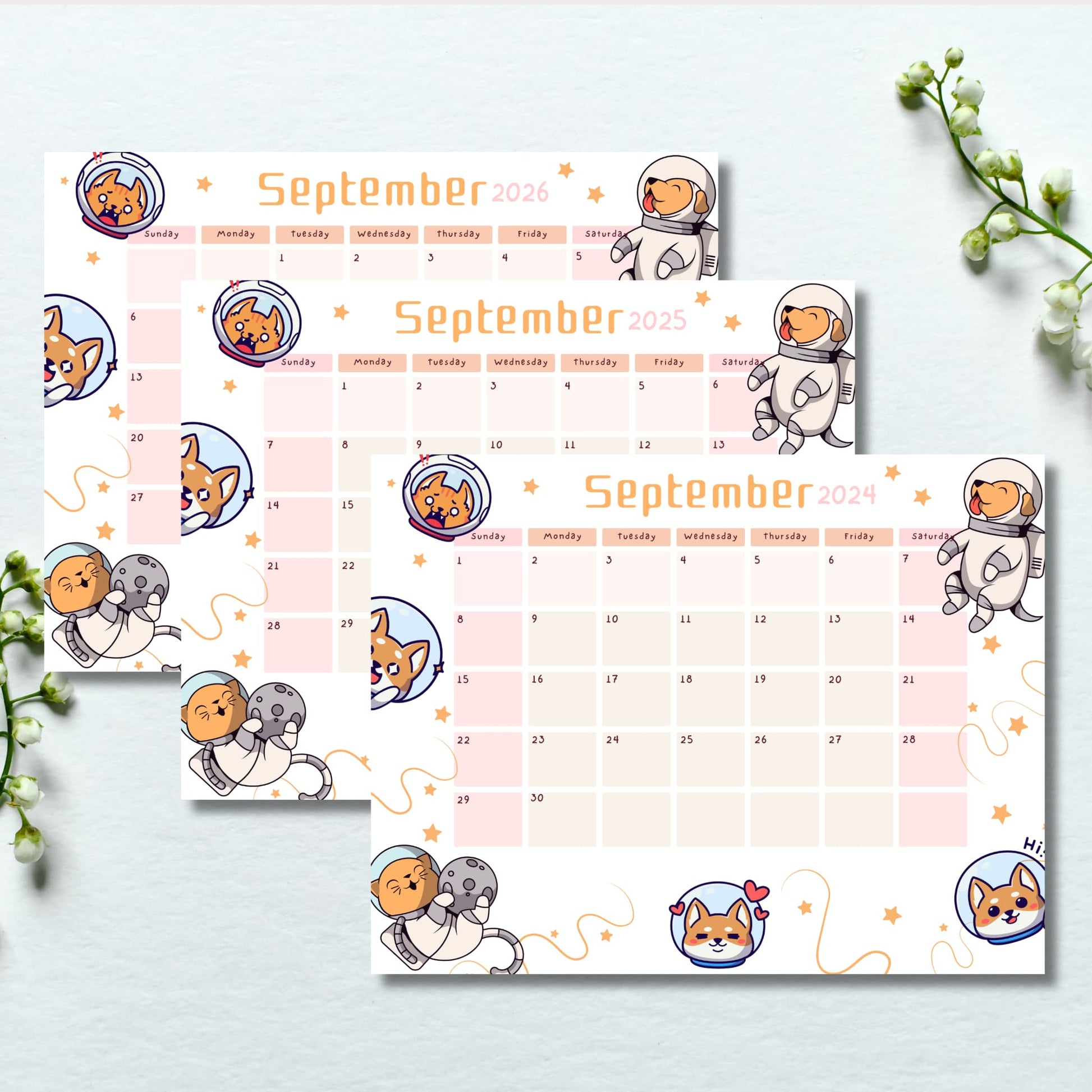 Three September calendars for 2024-2026 with colorful abstract floral design. Displayed with white flowers, showcasing seasonal appeal.